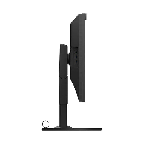 EIZO Monitor ColorEdge CG319X 31.1" Svart