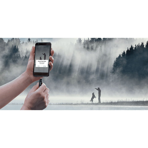 Sandisk Ultra Dual Drive Go USB Typ-C USB-minnen
