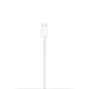 MagSafe-laddare Laddare 